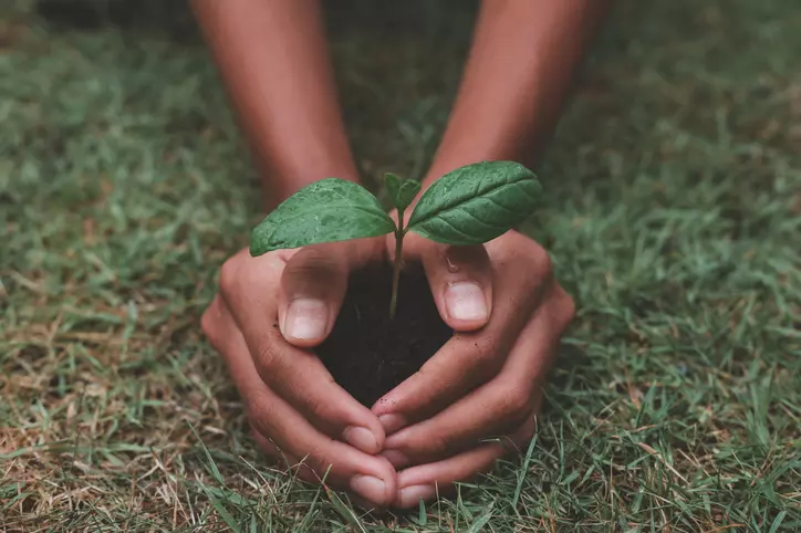 natureza meio ambiente dia da natureza ícone