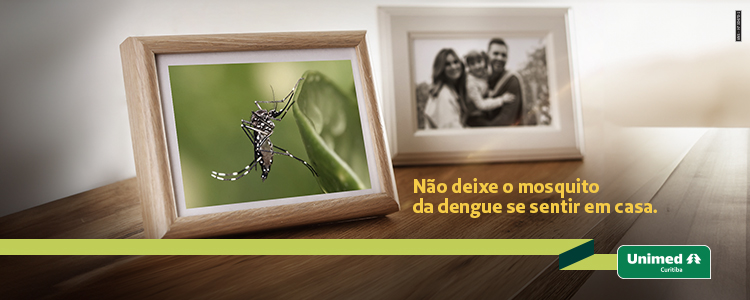 campanha da dengue - capa da notícia